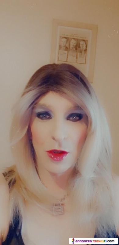 trav sexy chienne lyly